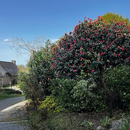 Casa vacanze Du Gohic